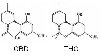 式和分子量与thc完全一致,两者的理化性质十分接近,导致从工业大麻中