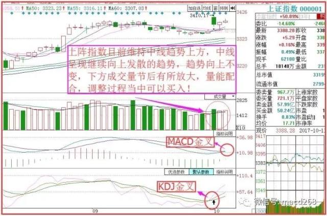 人口内参王羚_人口普查图片