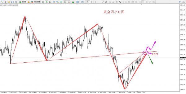 和龙gdp_肌肉兽人和龙人基佬图(3)