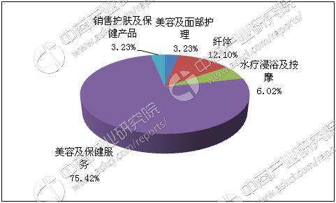 2017年中国SPA行业市场前景研究报告