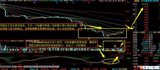 石墨烯板块第一龙头白马股,中报暴增755%,圆