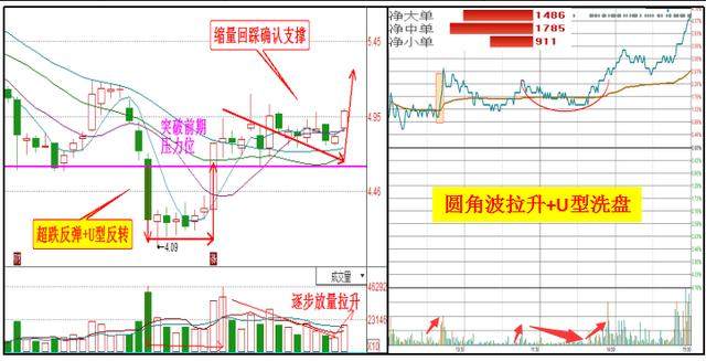 人口U型_老年型人口金字塔(2)