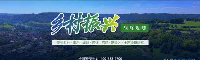 武汉临空港五大乡村振兴项目总投资超140亿元