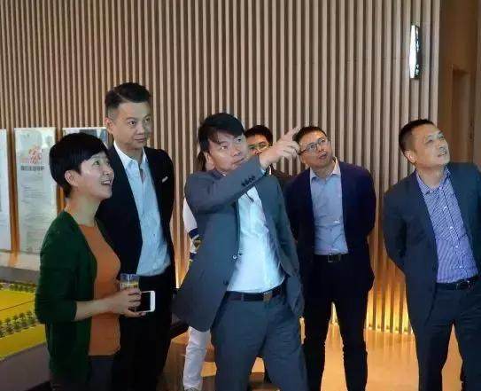 新力控股IPO张园林神隐幕后，221亿借款待还