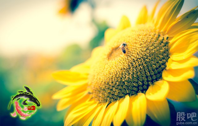 原创 18股市投资笔记 6月7日交易日记 财富号 东方财富网