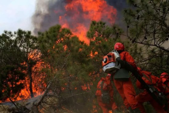 银行用四川凉山救火烈士做广告遭网友怒骂