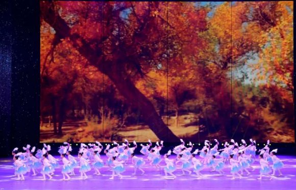 初心绽放筑梦新时代2019迎新春文艺晚会暨红