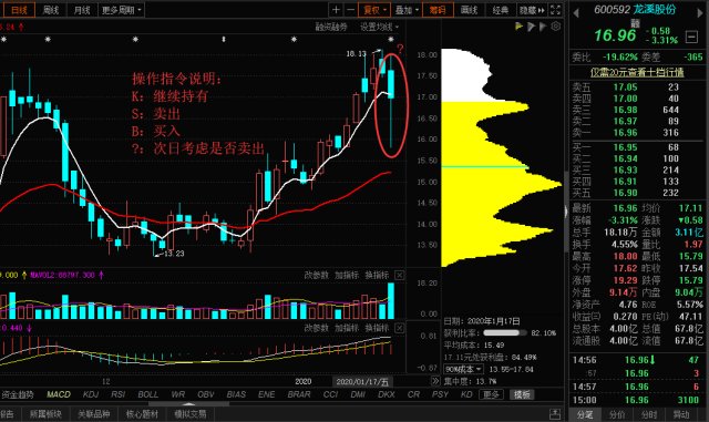 趋势猎豹抓起爆点0117日总结0119