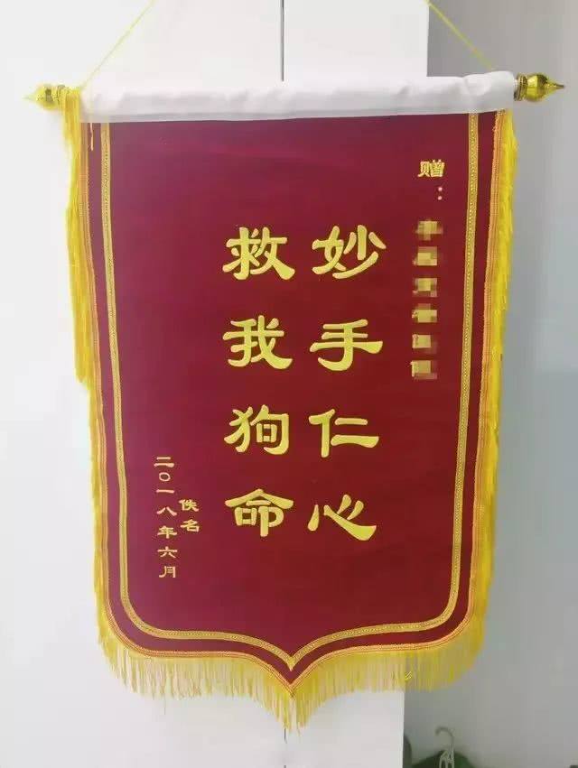一进门就是硕大的招牌和收银台,墙上挂着宠物主人送的锦旗