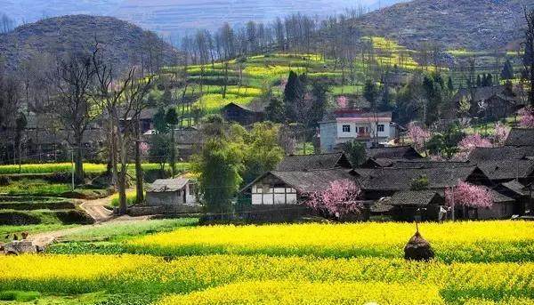 2018年乡村振兴政策汇总文件