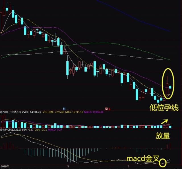 发现好股低位孕线形态预示中级上涨行情