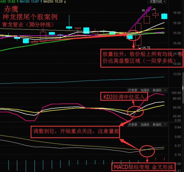 神龙摆尾战法图解图片