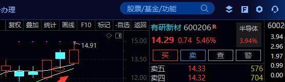 必看文章！他将引爆稀土炒作的新高度！（附股）