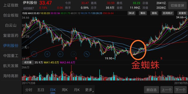 07.06经典技术操作图形〔04〕金蜘蛛