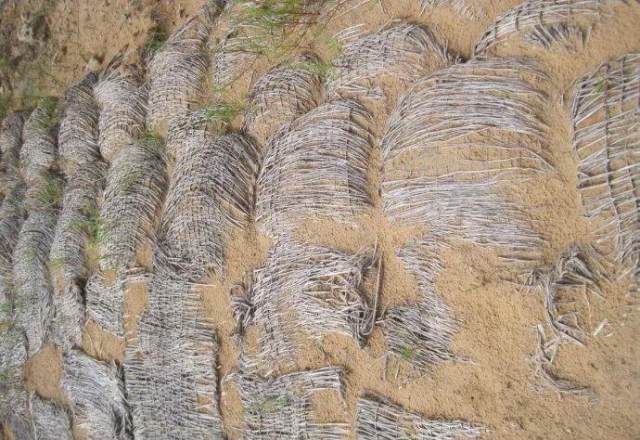 突发!中国竟然干掉一片千年沙漠!联合国都坐不