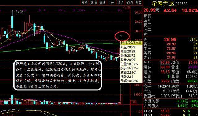 「实战复盘」提前公示个股今天又现涨停板 到底有什么重大利好？