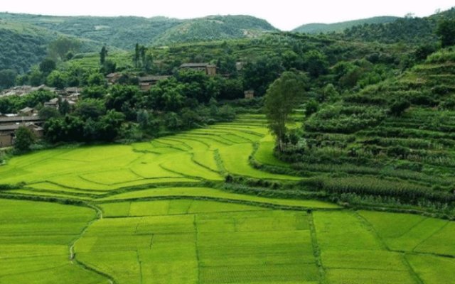 为啥美国耕地面积比我国大20%,我国粮食产量