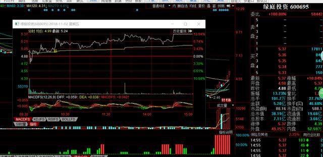 场遭罚14亿|恒立实业、德新交运、绿庭投资谁