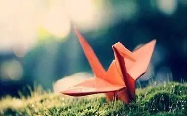 金氪 | 资本寒冬下的VC投资生态 深创投、红杉