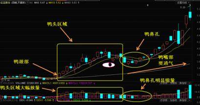 股票凡是符合:"老鸭头 海豚嘴 金蛤蟆"形态,买进真香