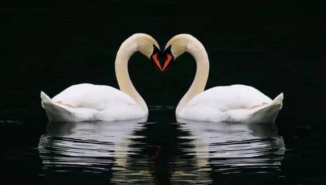 黄斌汉:商誉爆,科创板来,价值投资春天到了?