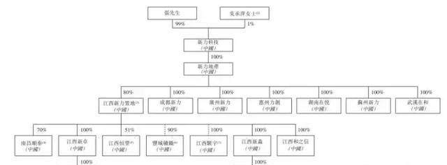 新力控股IPO张园林神隐幕后，221亿借款待还