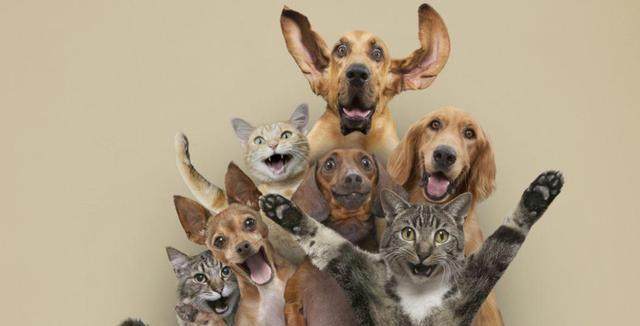 北京、上海房价大跌,但多数刚需仍买不起