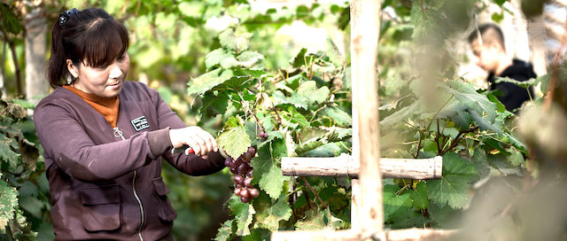 廊坊银行荣膺2018值得信任的普惠金融银行奖