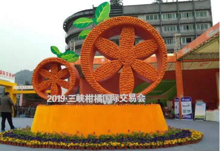 山橙时代亮相2019·三峡柑橘国际交易会 奉节