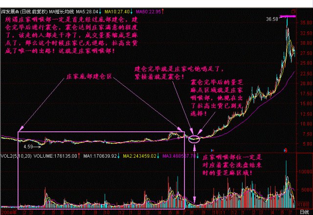 中国股市有真相 股市不变的规律 值得散户深思 财富号 东方财富网