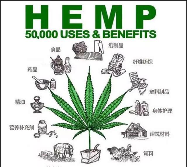 携手黑龙江经济作物研究所雄岸科技布局工业大麻药用种质创新 财富号 东方财富网