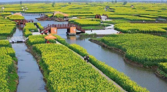 2019年国家先给钱后建设的4类农业产业项目,