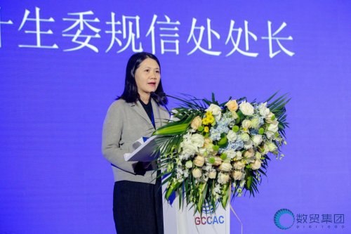 数贸集团挺进广西 建设数字经济新高地