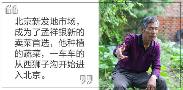 孟祥银炮兵种菜中国老村长