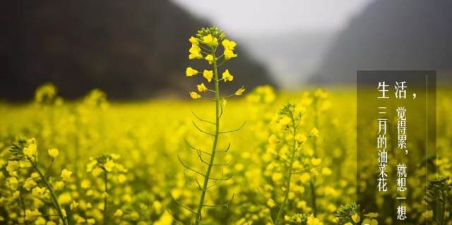 信用卡不还会坐牢吗,多少能达到被判的标准?