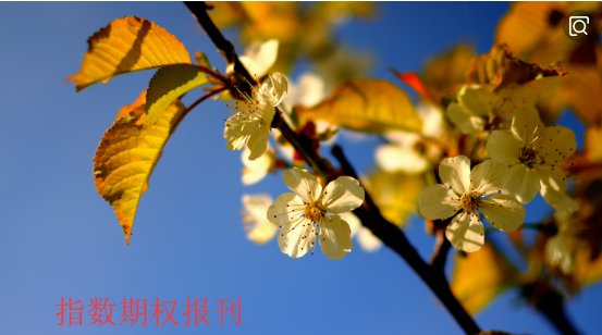 QQ截图20190406153904.png