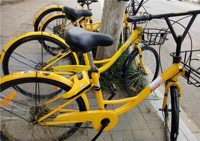 一辆旧共享单车能卖多少钱?废品站老板:5块,不