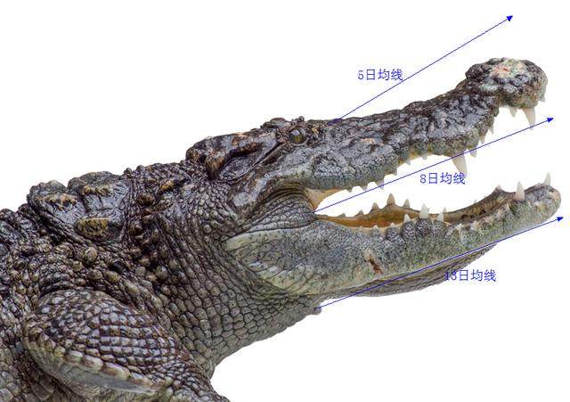 鳄鱼嘴波段战法