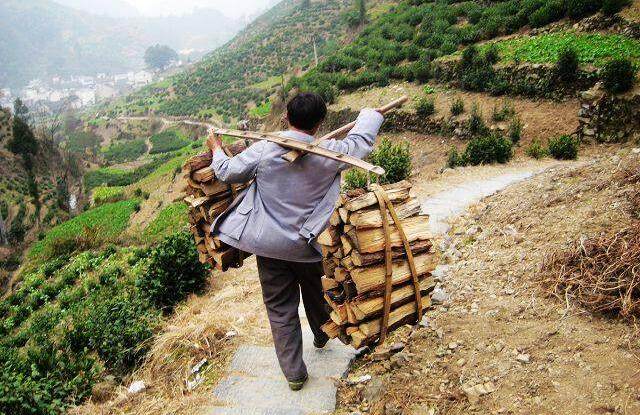 砍柴郎蛇口救下孩子孩子却只叫他爷爷岂料多年后竟因此救了命