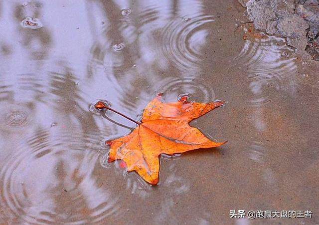 极度缩量！背后隐情让人震惊