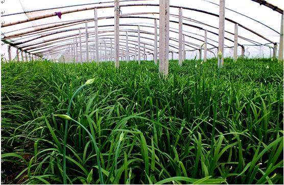 昨天追5G热点的兄Dei还好吗?