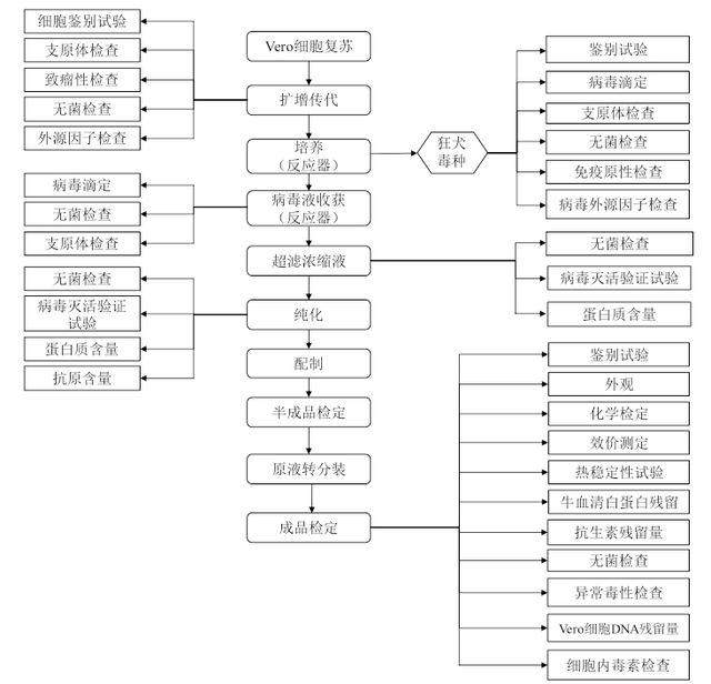 还原长生生物疫苗事件始末 最新回应:产品没问题