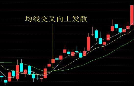 上海大学教授盈利经验的肺腑独白：万能均线20日线一招获利十年！