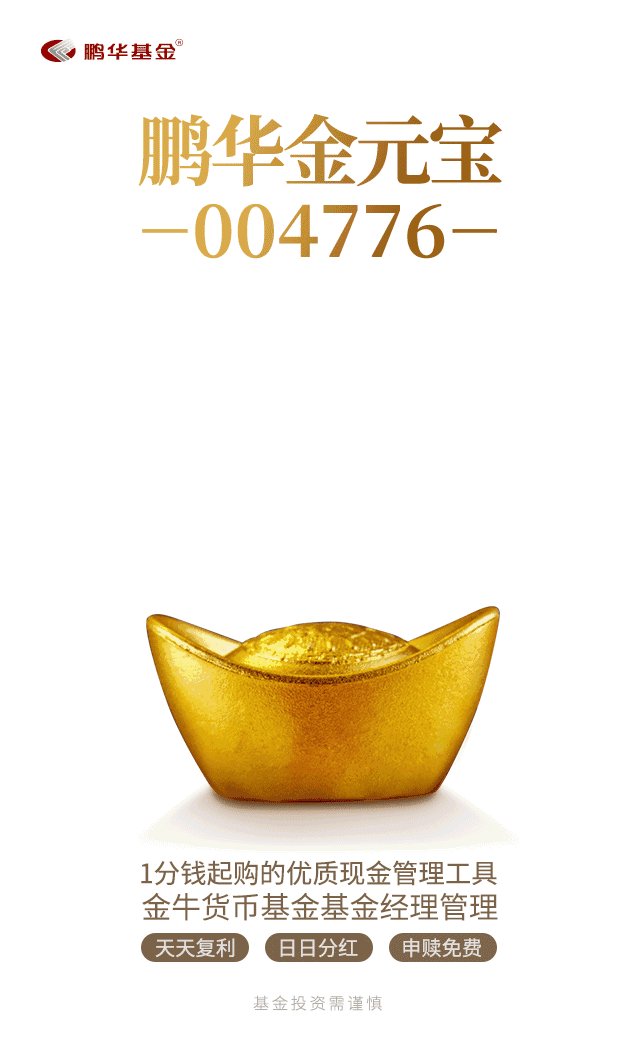 天上掉下个金元宝