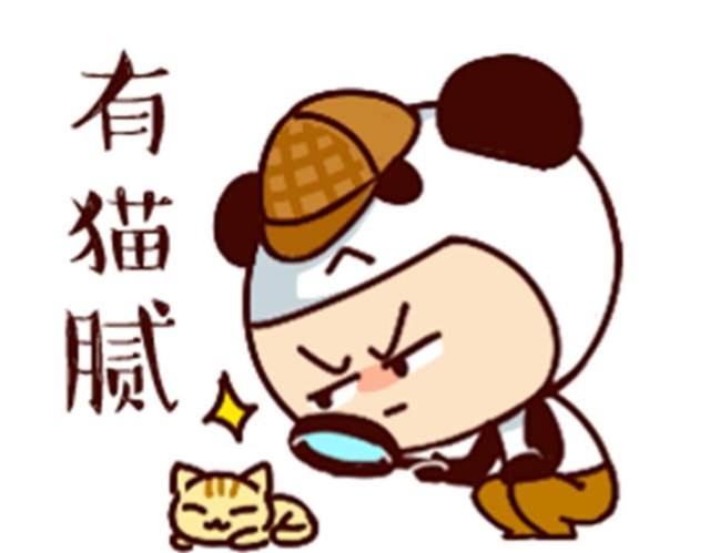 信用卡中的猫腻用卡人需要注意了