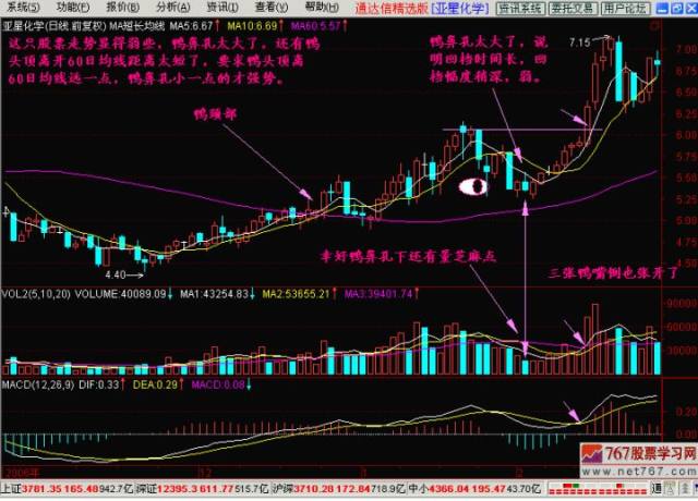 如何从成交量,换手率,当日K线路径,内外盘之间