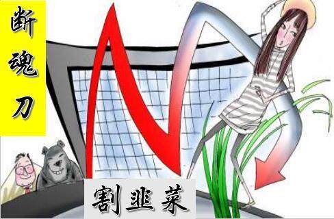 "一字断魂刀"割韭菜:股价从涨停到跌停,50万股一天亏近20%!