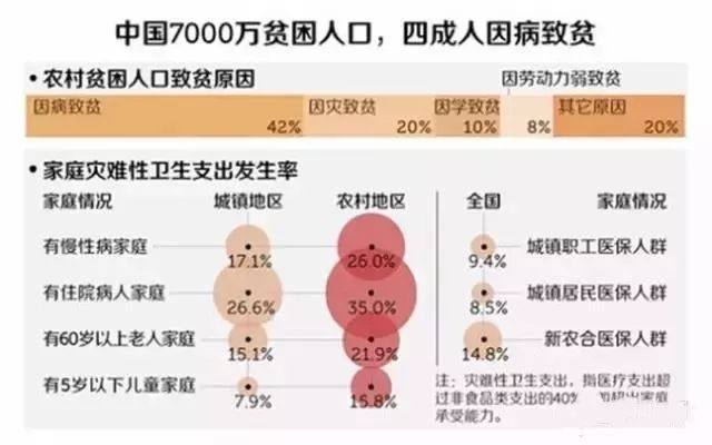 因病致贫人口_因病致贫