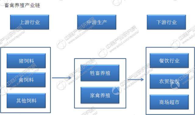 中国畜禽养殖产业链及主要企业分析