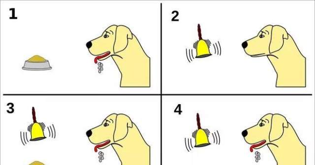 打开红灯,在每一次给狗送食物的时候,这个就像是巴甫洛夫实验中的狗